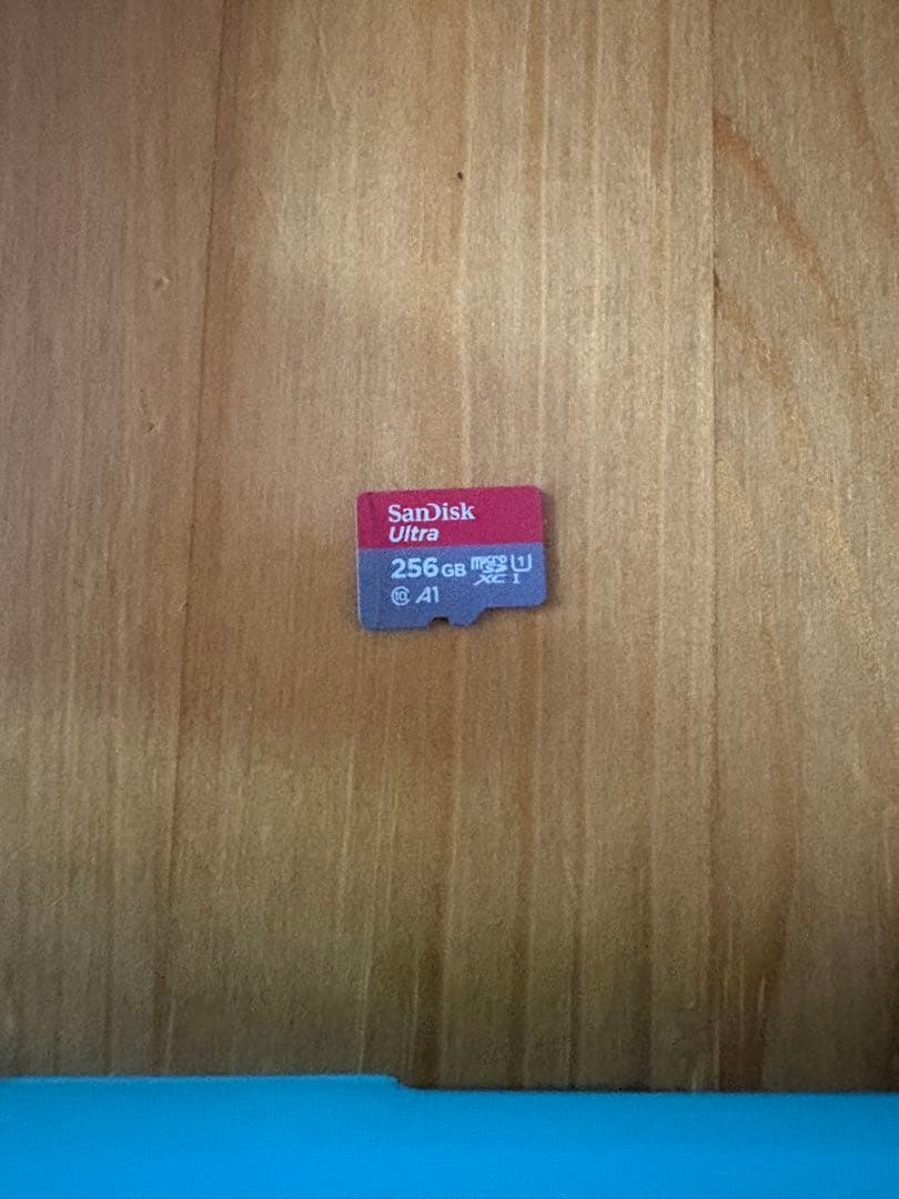 【動作確認済】ニンテンドーSwitchライト本体　micro sd 256GB