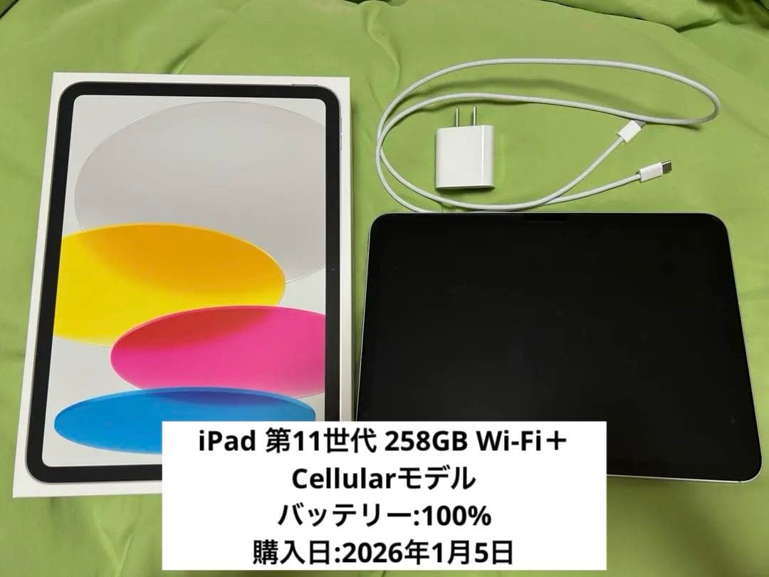 iPad 第11世代 256GB Wi-Fi＋Cellularモデル シルバー