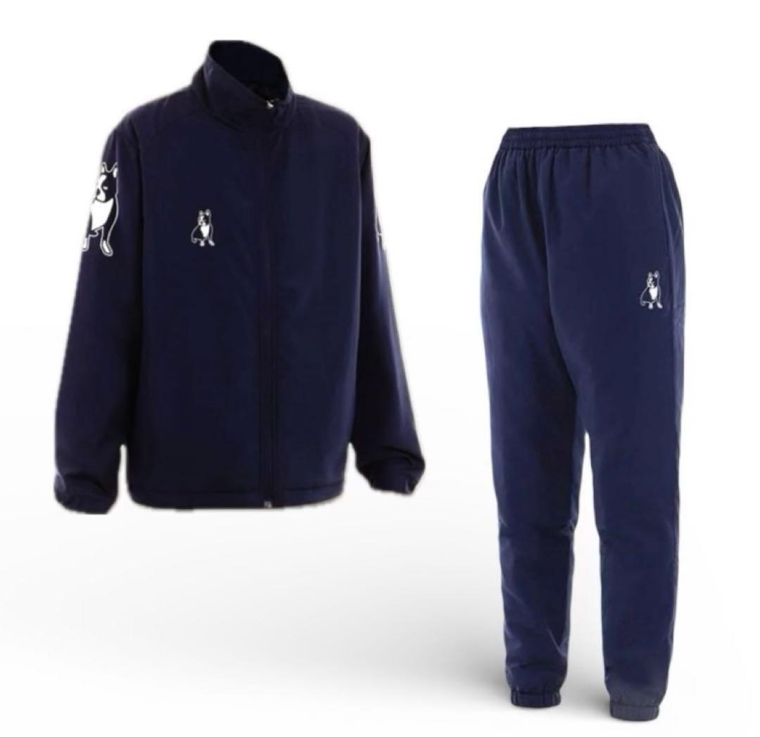 claudio pandiani 中綿ジャケット パンツ上下セット M 新品