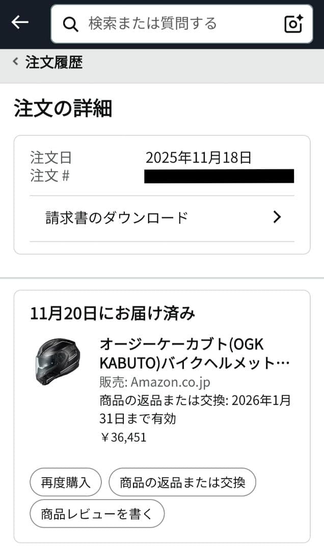 マサ　試着のみ Kabuto Ryuki BEAM ピンロックシート付き