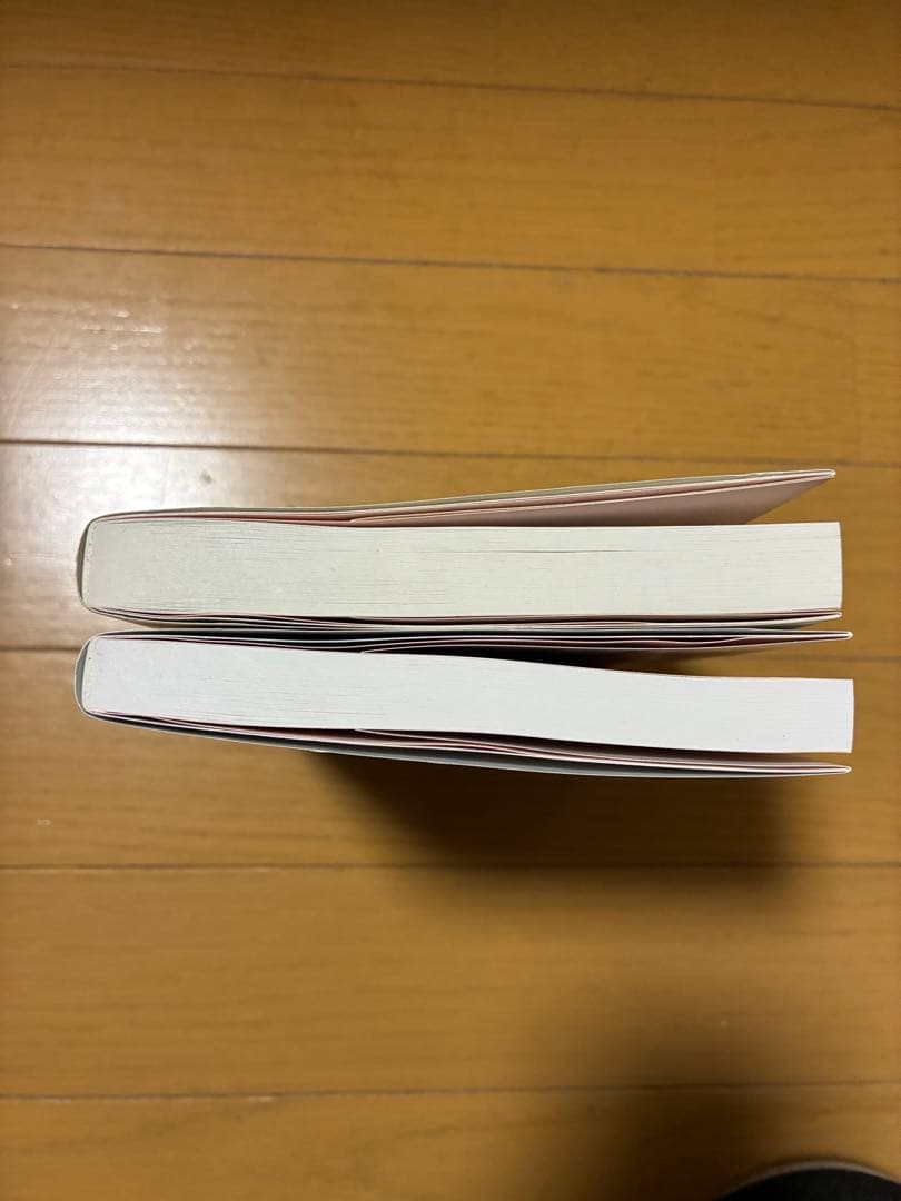 国際秘密力の研究 上下巻セット