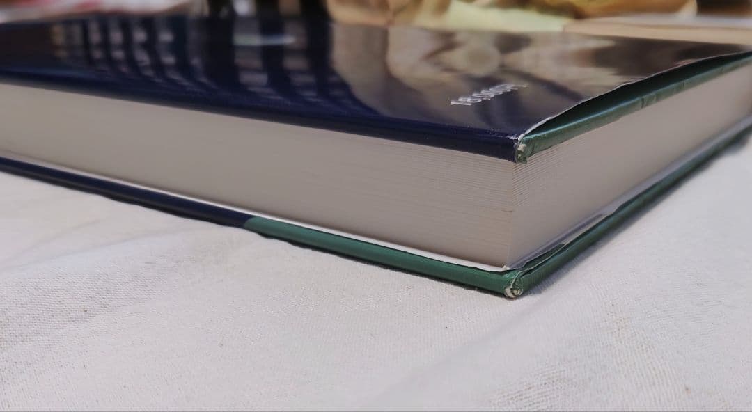 重心バランス軸調整療法 I:姿勢と重心バランス軸 著者: 伊東聖紘