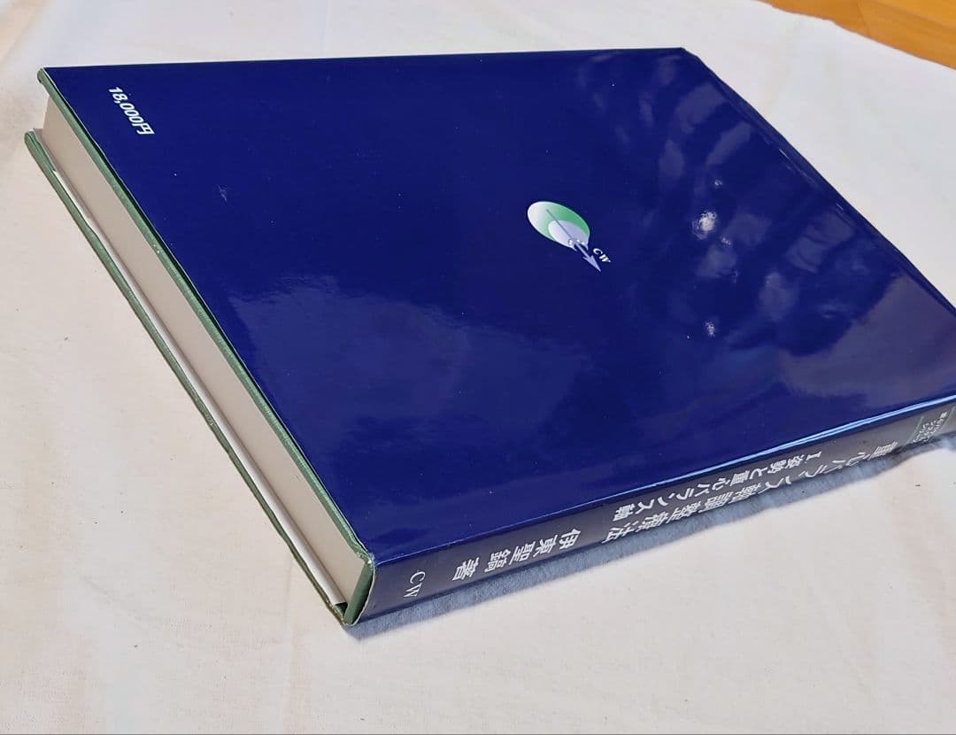 重心バランス軸調整療法 I:姿勢と重心バランス軸 著者: 伊東聖紘