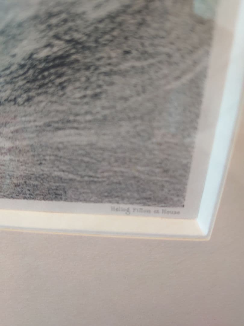 「売約済」アンリ.ファンタン.ラトゥール「ニンフ」 ヘリオグラフィー