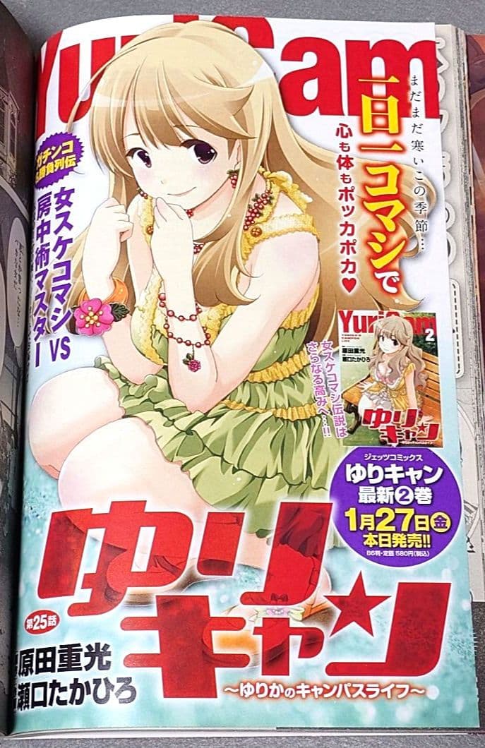 ヤングアニマル2012年3号ベルセルク表紙両面BIGポスター付録未開封三浦建太郎