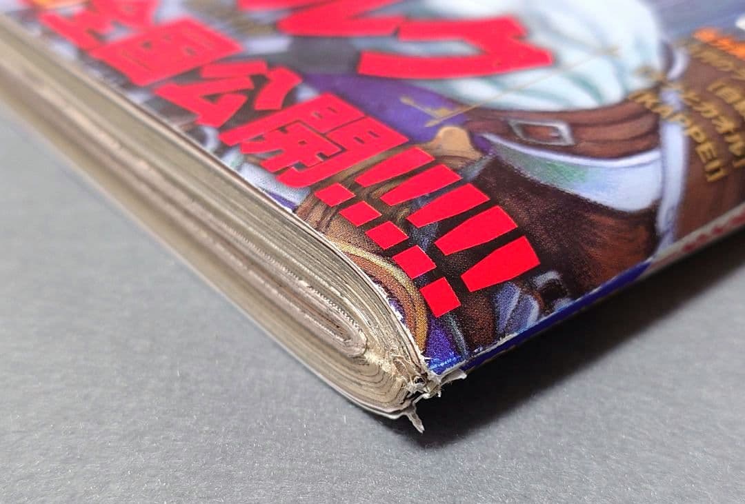 ヤングアニマル2012年3号ベルセルク表紙両面BIGポスター付録未開封三浦建太郎