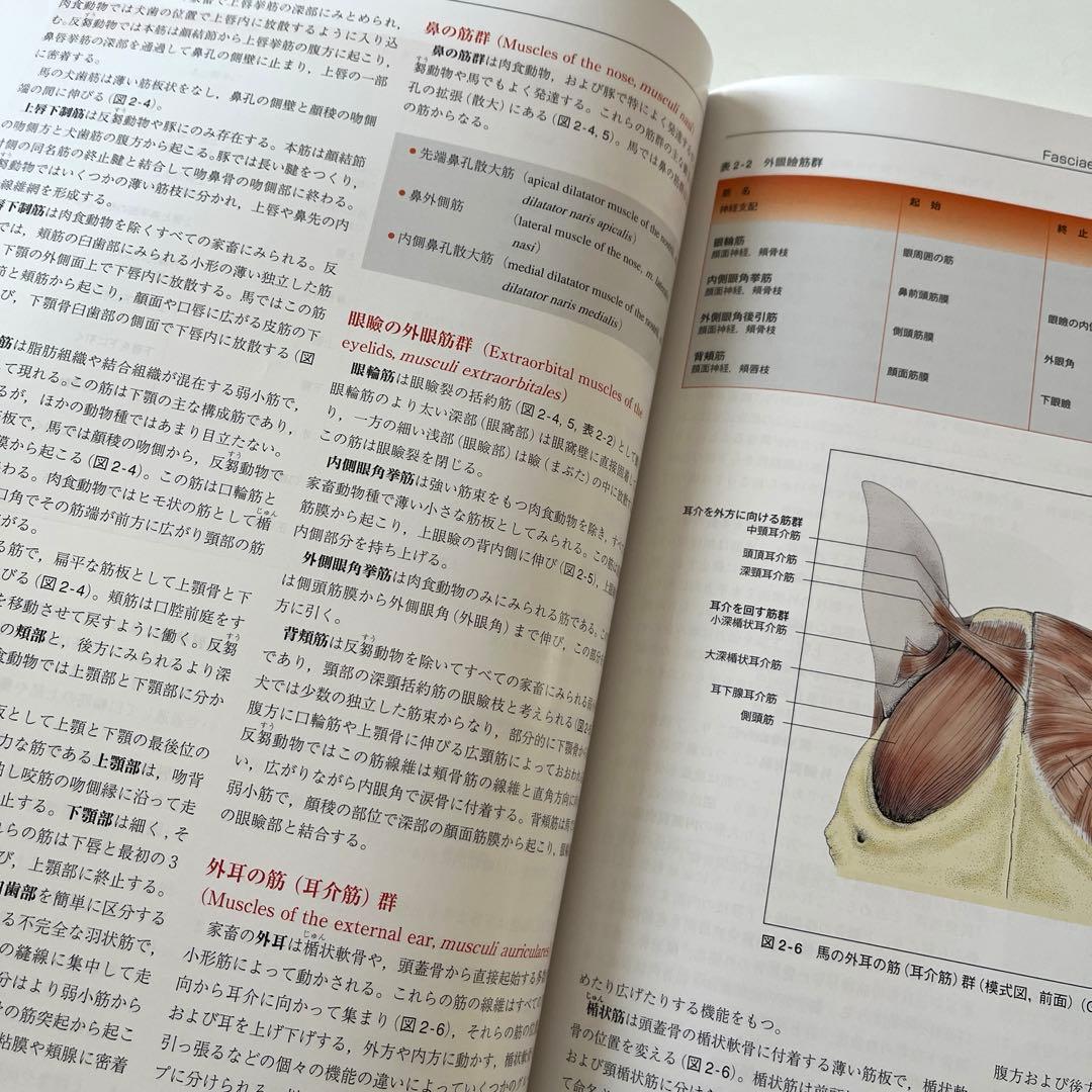 カラーアトラス 獣医解剖学 上巻