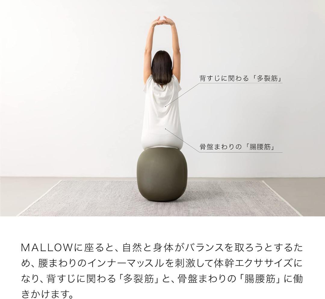 【開封済み・未使用】アンドメディカル MALLOW　バランスボール　エクササイズ