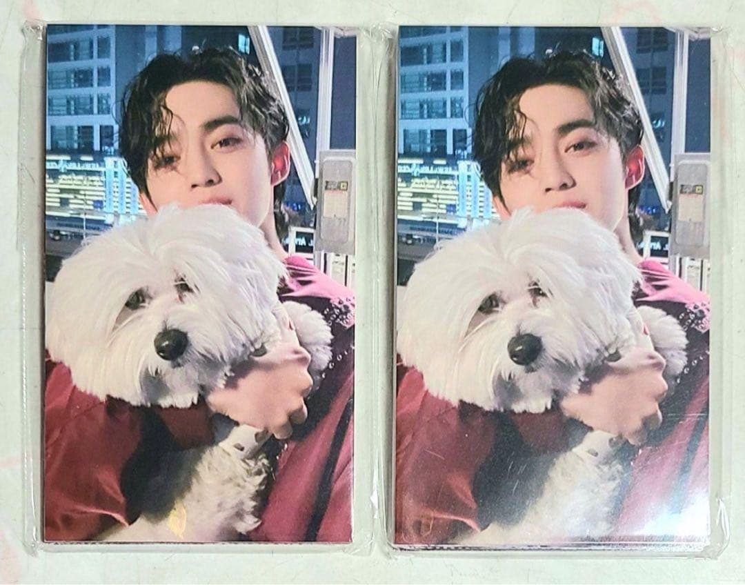 SEVENTEEN セブチ FML 東京 会場限定 トレカ 未開封