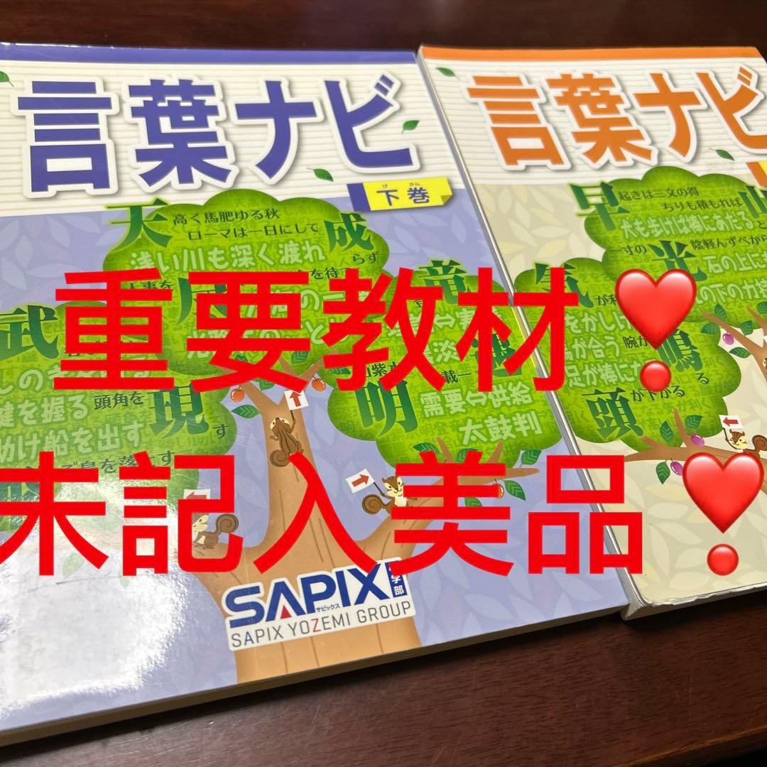 16-17や　重要教材　サピックス　SAPIX 言葉ナビ 上巻・下巻セット