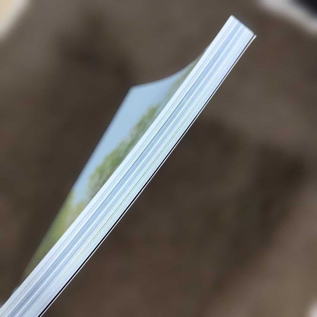 神像の美 すがたなきものの、かたち。別冊太陽