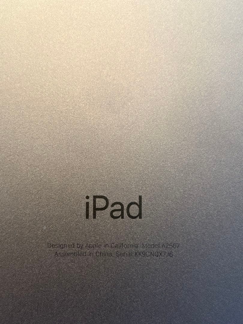 メ*ネ様 iPad mini (第6世代) スペースグレイ 256GB Wi-F