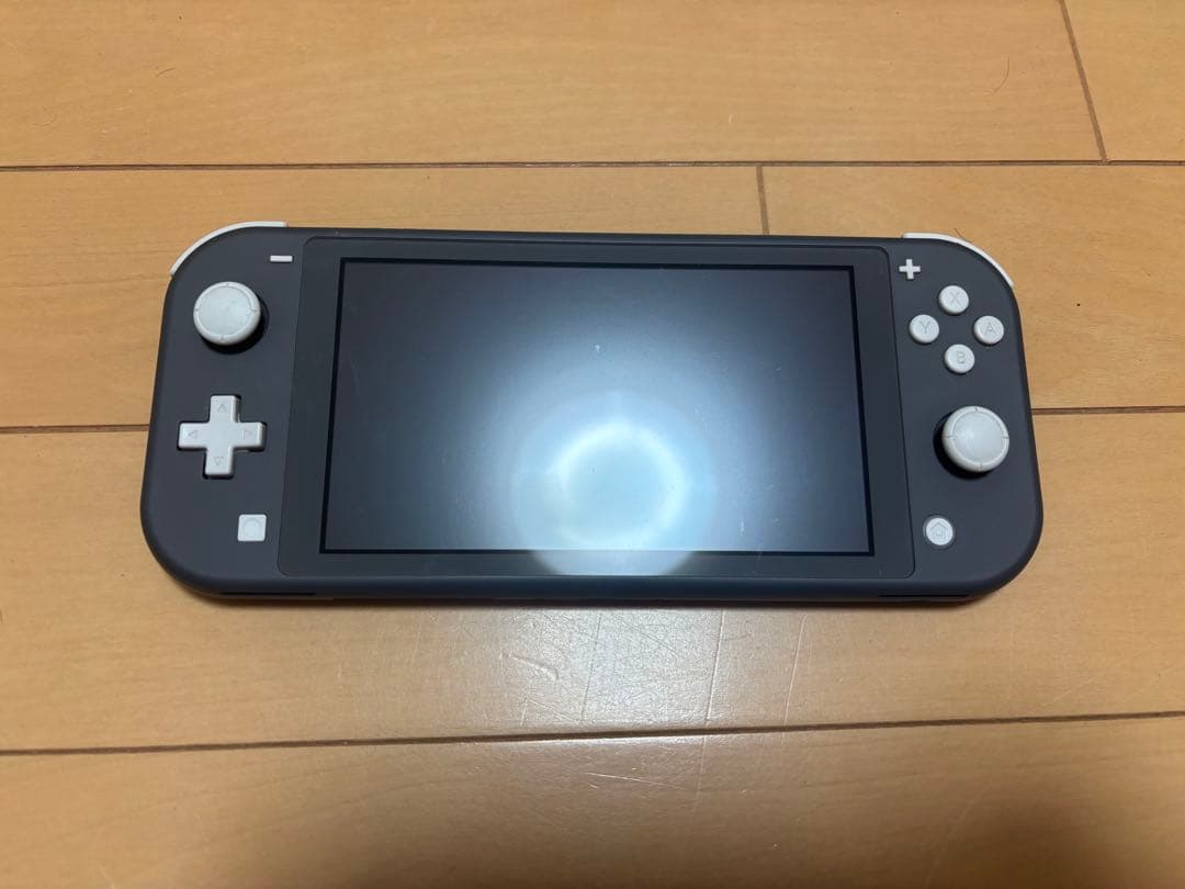Nintendo Switch Lite ソフト２つ