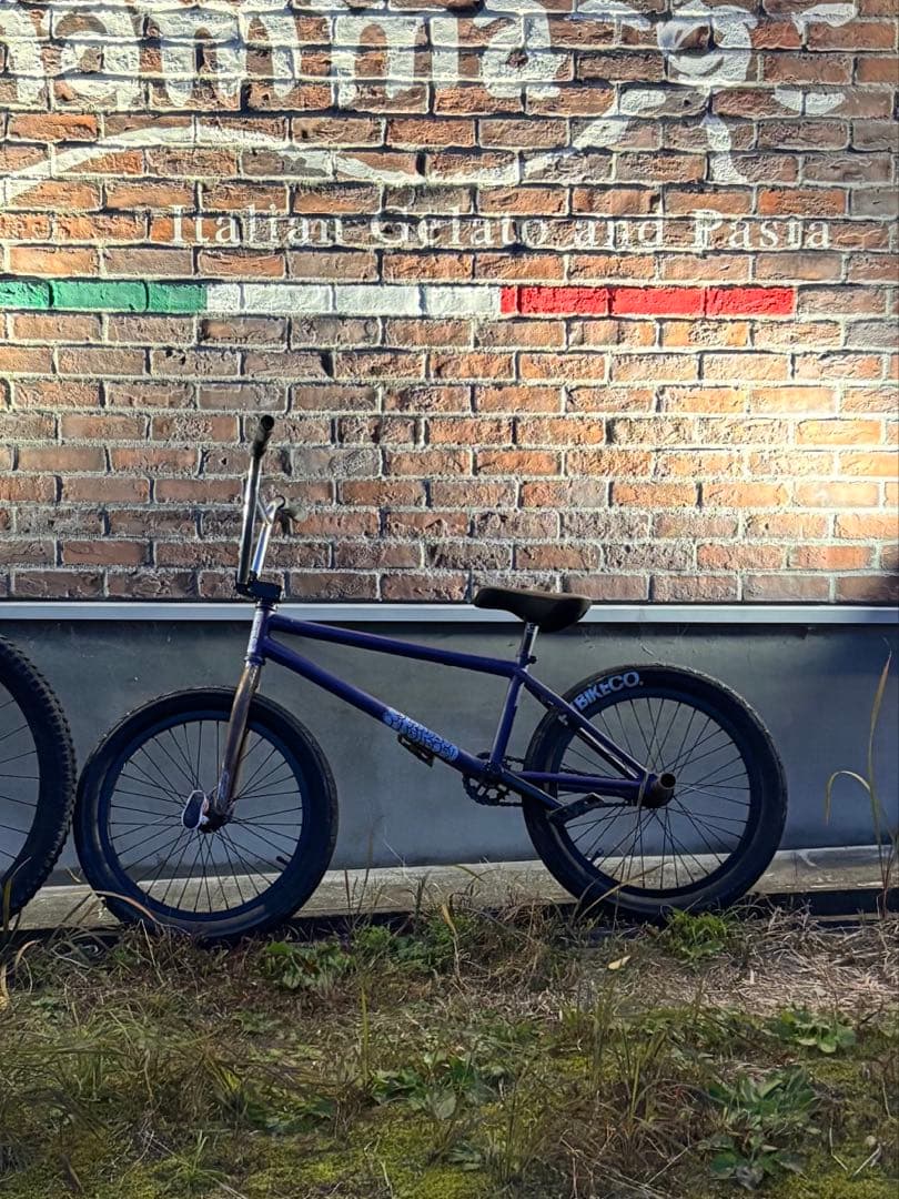 自転車本体 BMX FIT BIKE OS STR MD 20