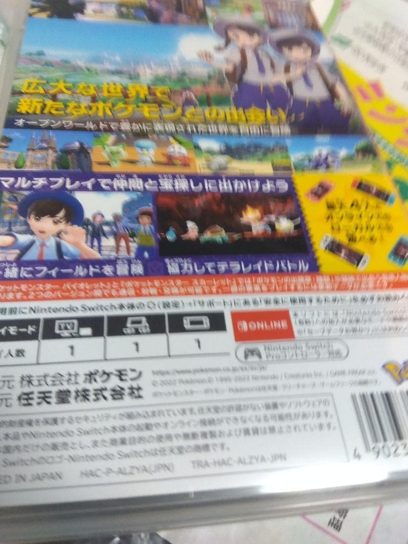 switch　ポケットモンスター　2本セット　美品