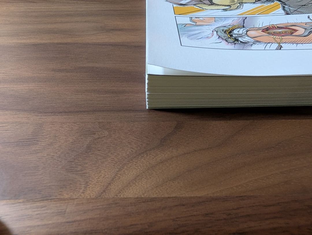 【裁断済】重度四肢外傷治療の奥義