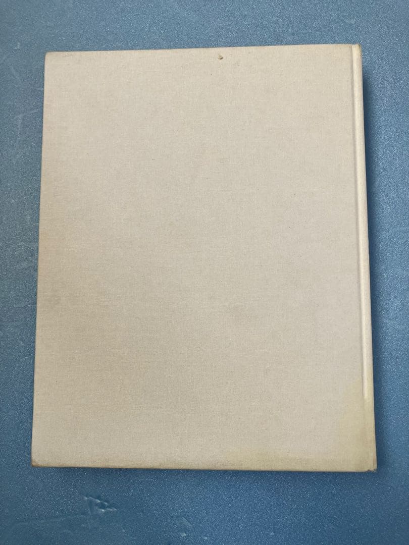 超貴重絶版本！ラフシモンズ10周年記念写真集/REDUX(価格相談)