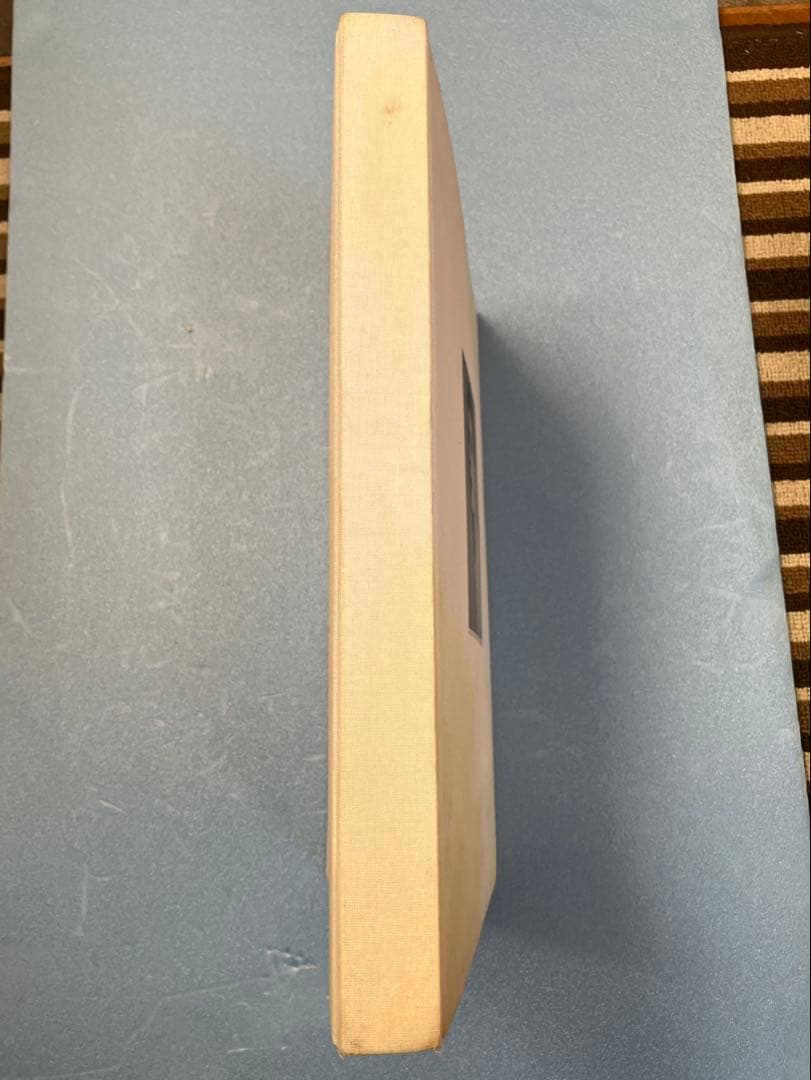 超貴重絶版本！ラフシモンズ10周年記念写真集/REDUX(価格相談)