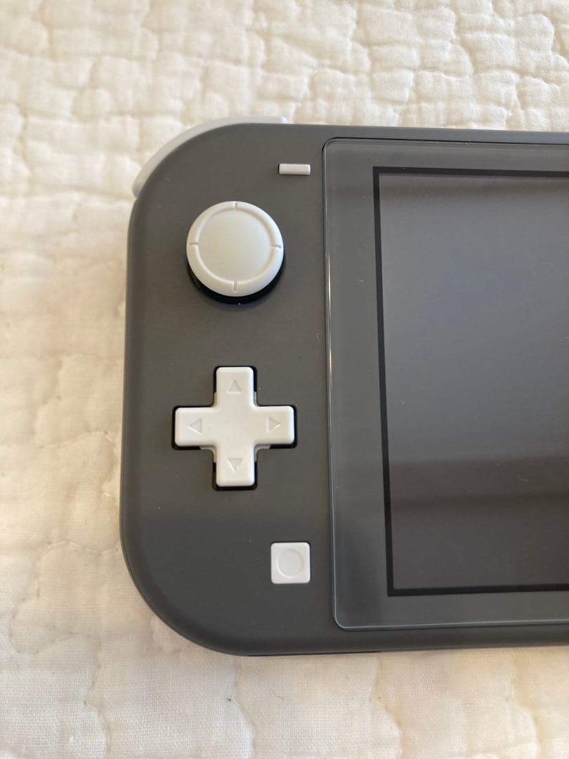 Nintendo Switch Lite グレー 本体 充電器・ケースおまけ付き