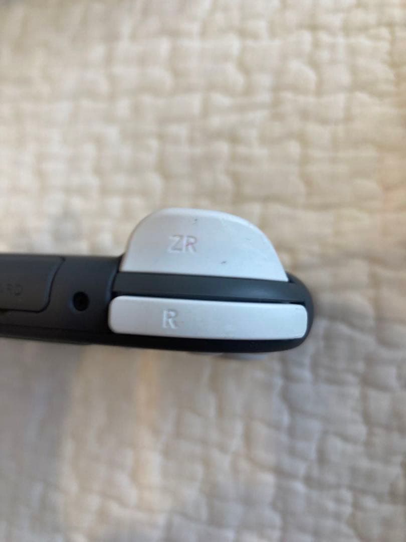 Nintendo Switch Lite グレー 本体 充電器・ケースおまけ付き