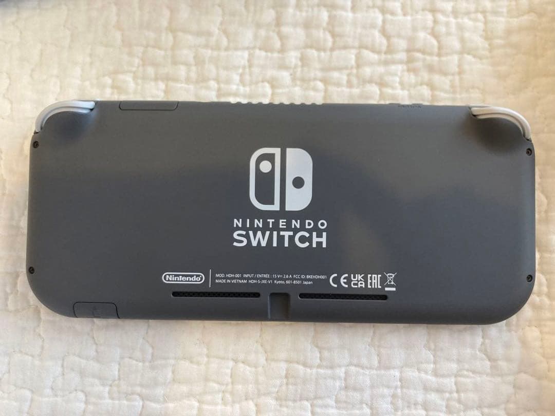 Nintendo Switch Lite グレー 本体 充電器・ケースおまけ付き