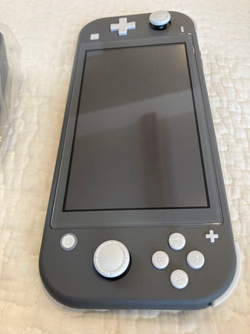 Nintendo Switch Lite グレー 本体 充電器・ケースおまけ付き