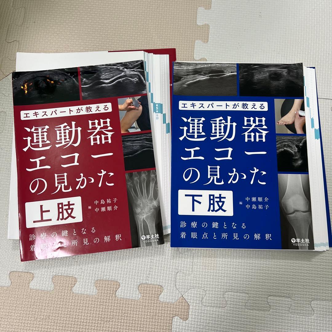 裁断済　エキスパートが教える運動器エコーの見かた 上肢