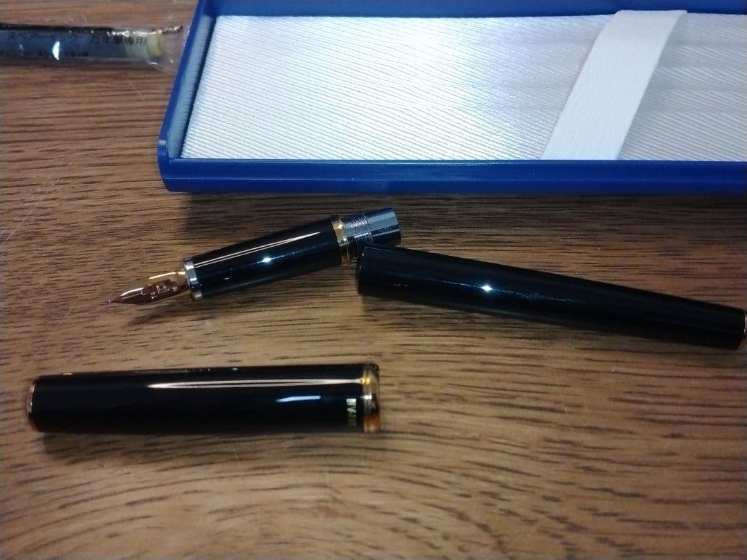 【新品未使用】廃番品 プラチナ万年筆 14K ペン先 ブラック 字幅 極細　美巧