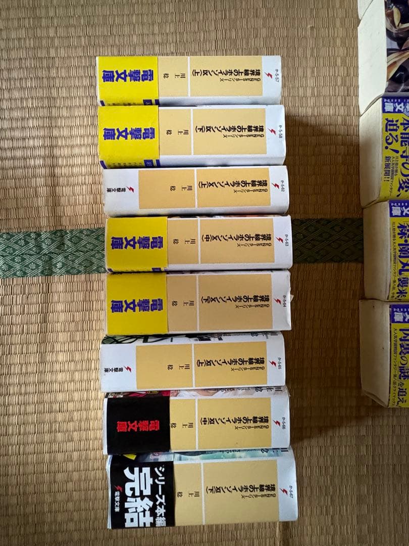 【調整可能】境界線上のホライゾン本編全巻+その他川上稔作品複数