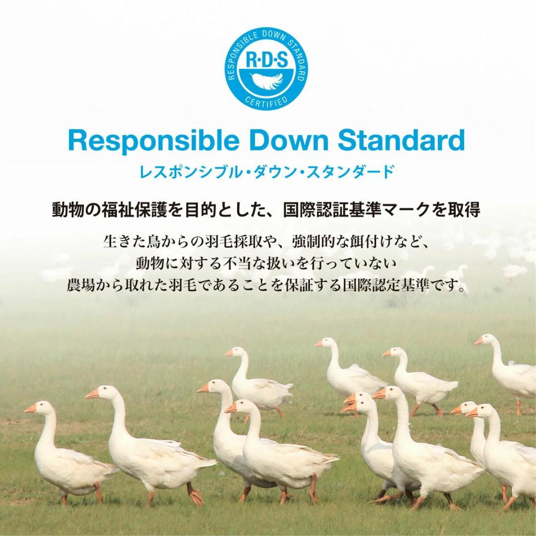 羽毛布団 ナチュラルダックダウン85％ シングル アイボリー 掛け布団