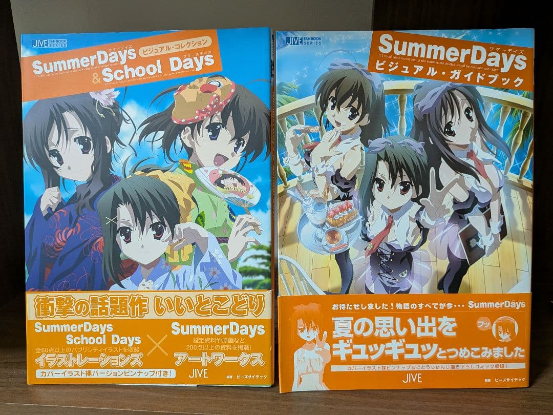 【初版帯付】Summer Days & School Days ビジュアル本2冊