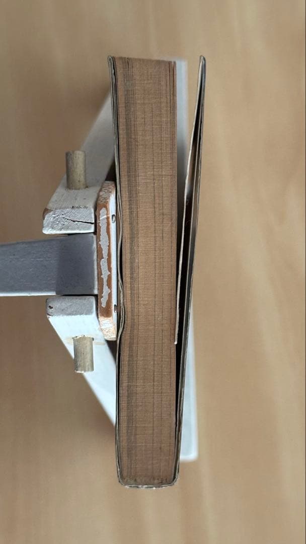 呪いのかつら　ヘア・ウィッグ　いけうち誠一