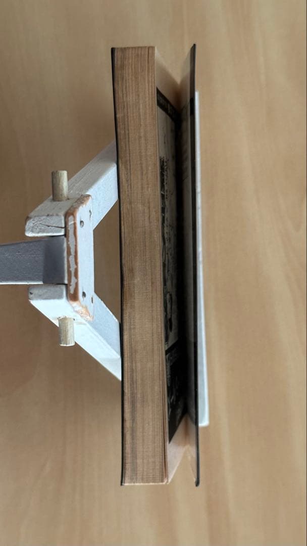 呪いのかつら　ヘア・ウィッグ　いけうち誠一