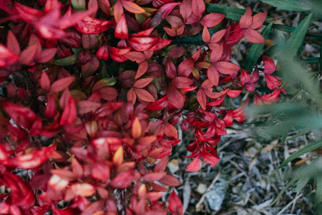 レンズ(ズーム) 18-300mm F/3.5-6.3 Di III-A VC VXD