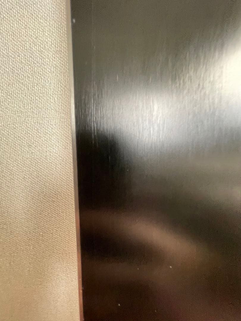 スノーボード Gentemstick T.T165 Classic Wonen's Flex