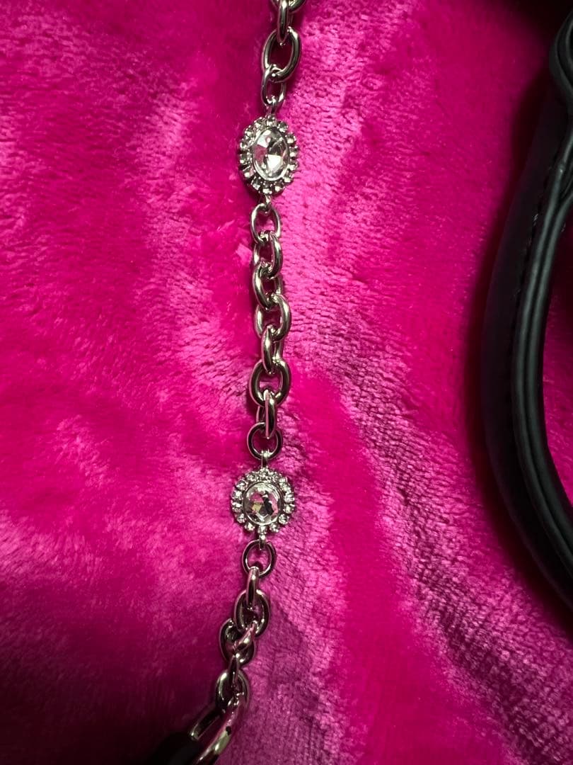 確定ファンサのおまじない ぬいと一緒におでかけBAG（小）　ブラック