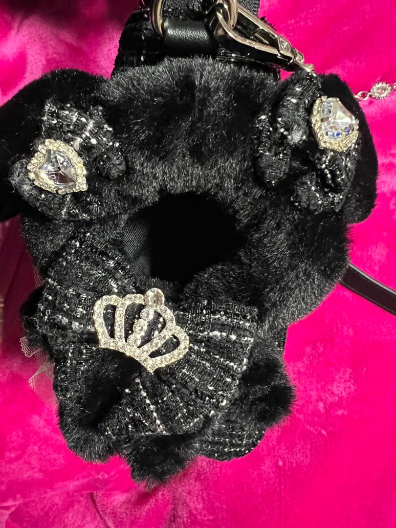 確定ファンサのおまじない ぬいと一緒におでかけBAG（小）　ブラック