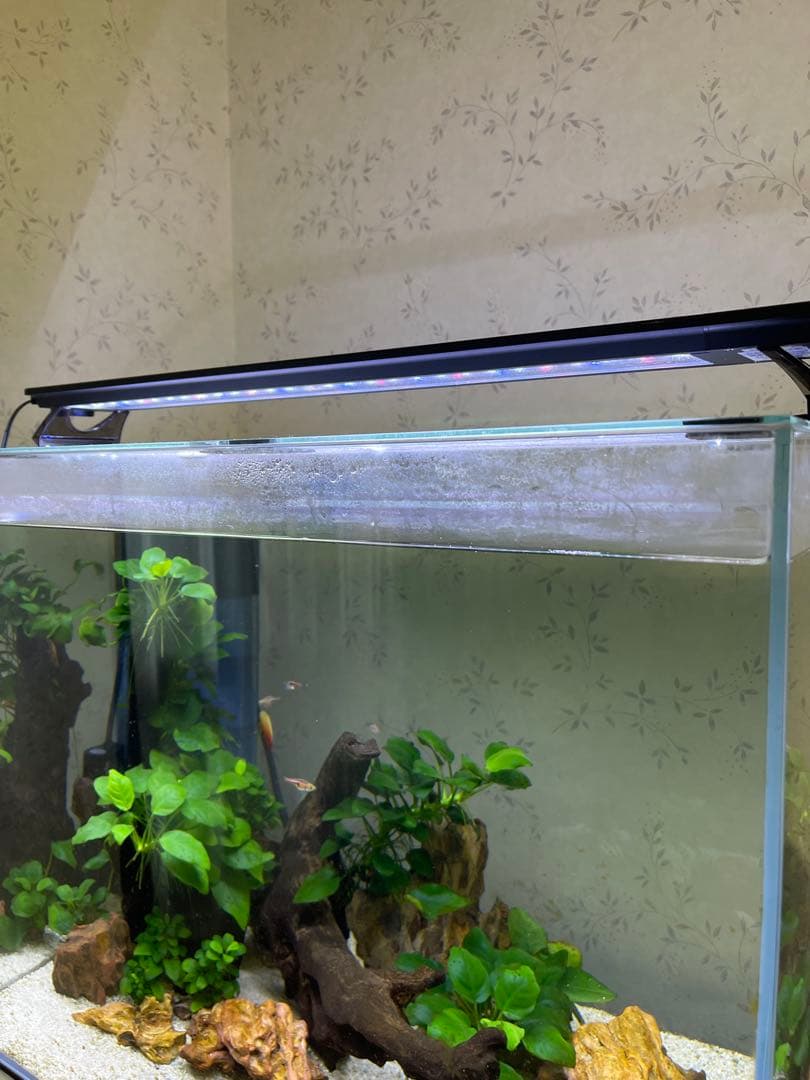 ムービースターGEX aquarista 水槽用ライト