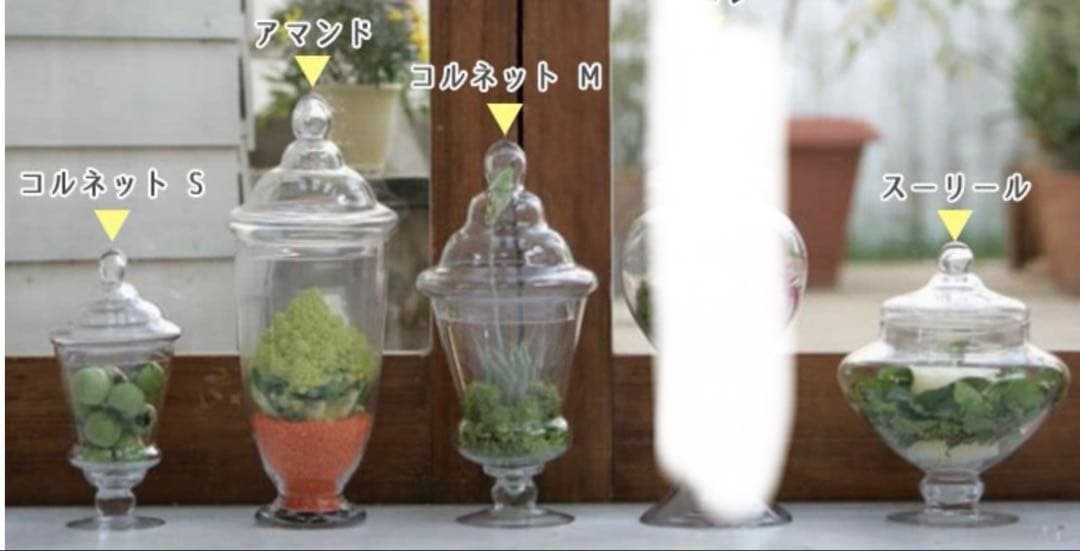 ダルトン　廃盤希少　コルネット　アマンド　スーリール　ガラス容器セット