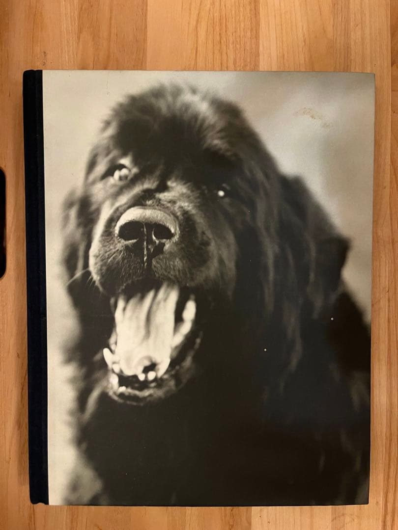 GENTLE GIANTS Bruce Weber ブルースウェバー　写真集