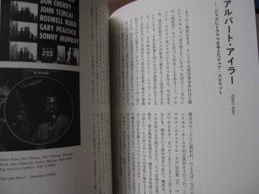 エクスペリメンタル・ミュージック 実験音楽ディスクガイド