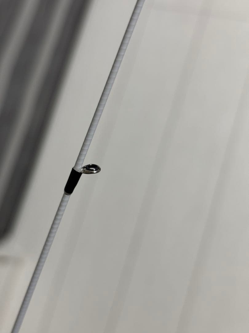 BLACK LION 75M ホワイトティップバージョン　ティップラン