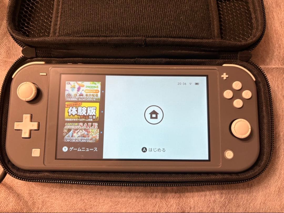 任天堂Switch Lite グレー　ケース&充電器　付き