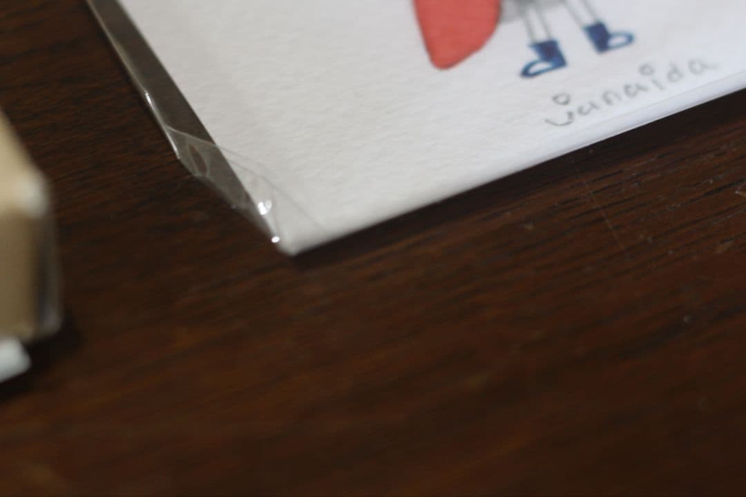 【美品】junaida THE BOOK OF WONDER 2011ジュナイダ