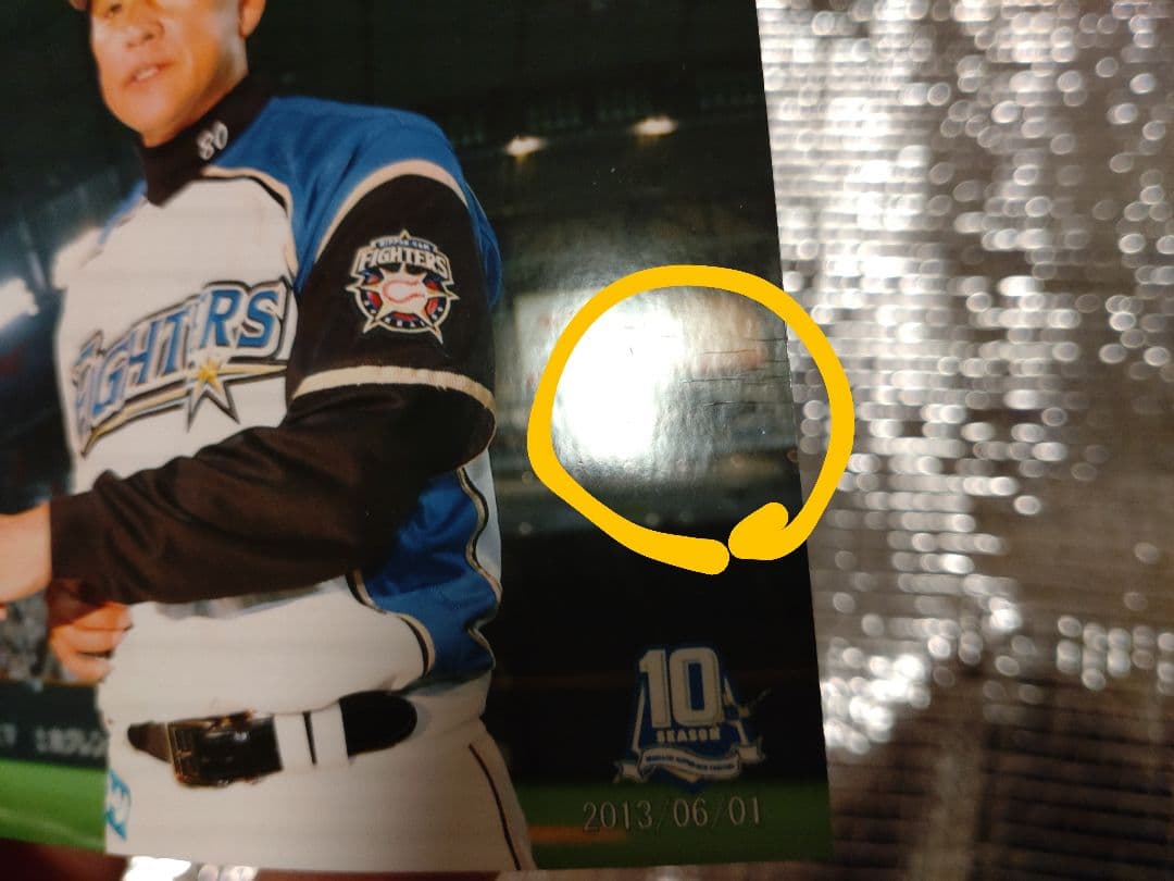 大谷翔平 2013 ハイライトフォト No.379 日本ハム 球団公式写真