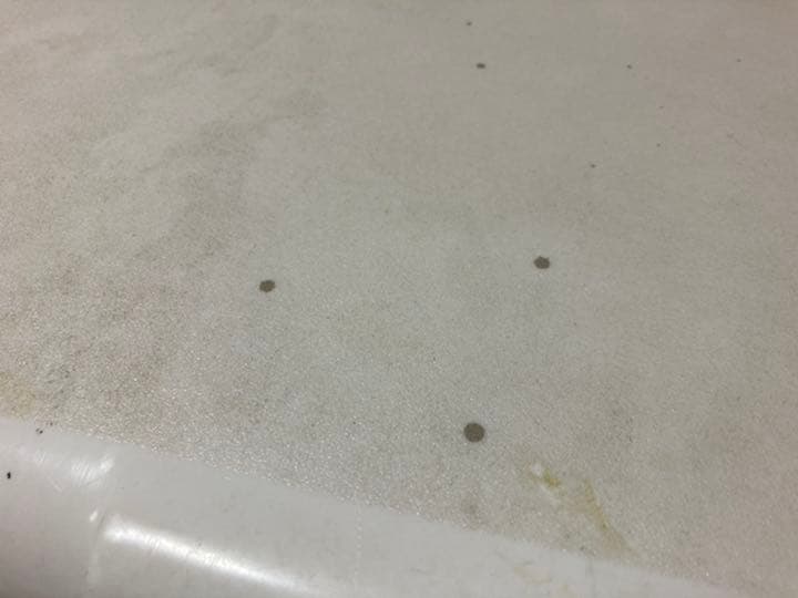 イエティ　(タンドラ50) クーラーボックス