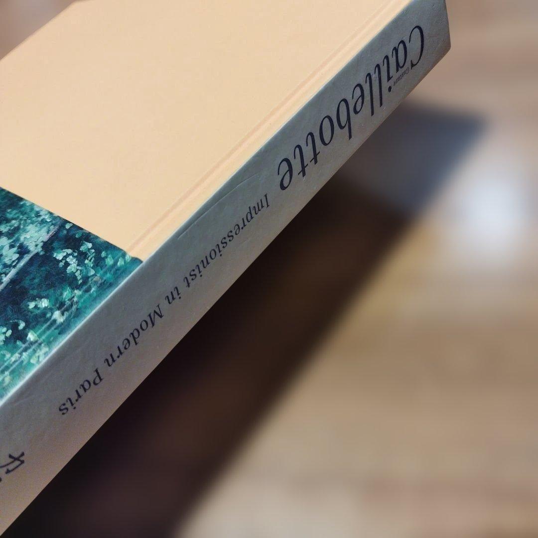 カイユボット　都市の印象派 　2013年 275P HC