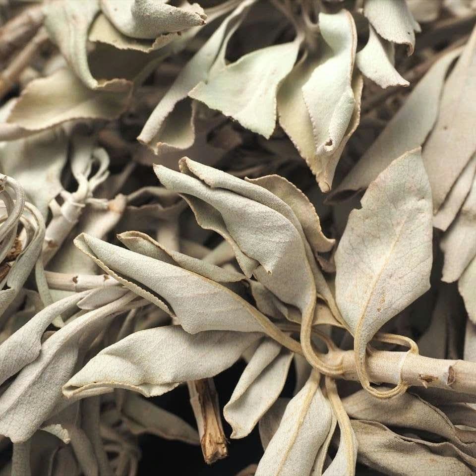 ★特選再入荷★無農薬カリフォルニア産【箱配送1kg高品質ホワイトセージ】❤️