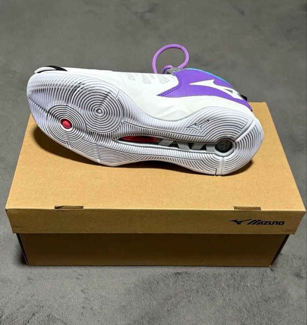 バレーボールシューズ MIZUNO
