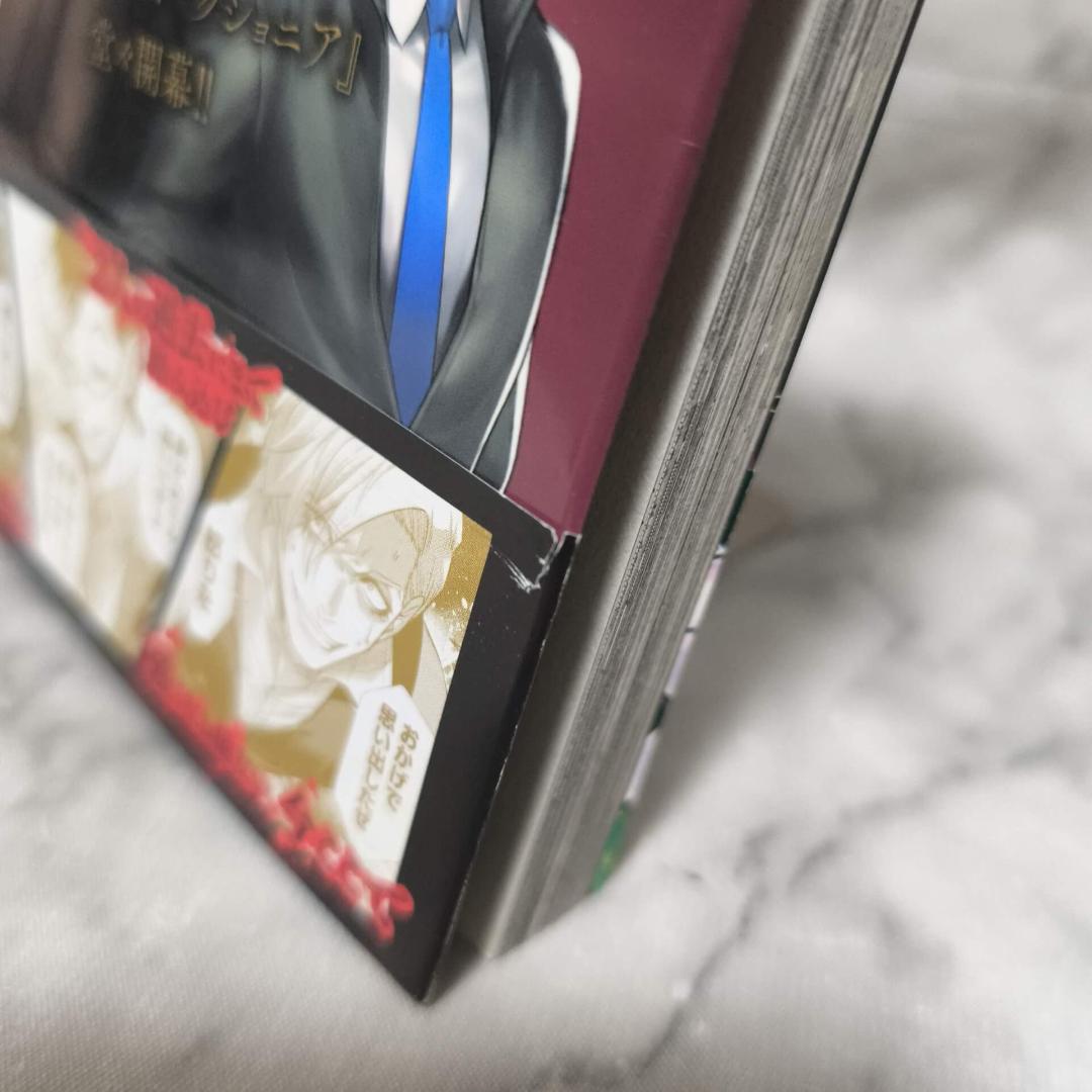 ジャンケットバンク 1-19巻 セット 全巻★田中一行 集英社